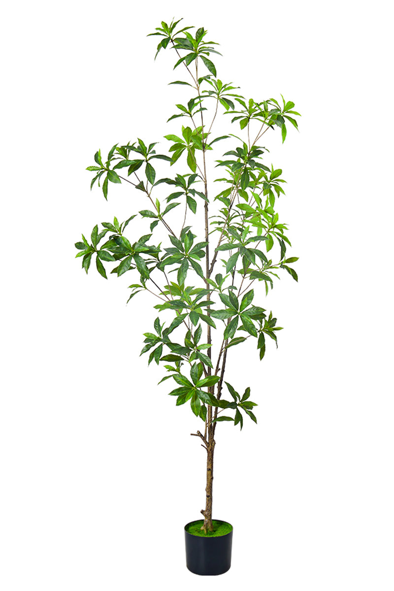 Artificial Pieris Tree with Realistic Branch Structure