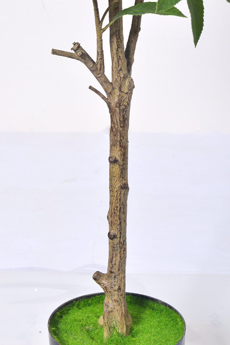 Artificial Pieris Tree with Realistic Branch Structure