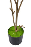 Artificial Pieris Tree with Realistic Branch Structure