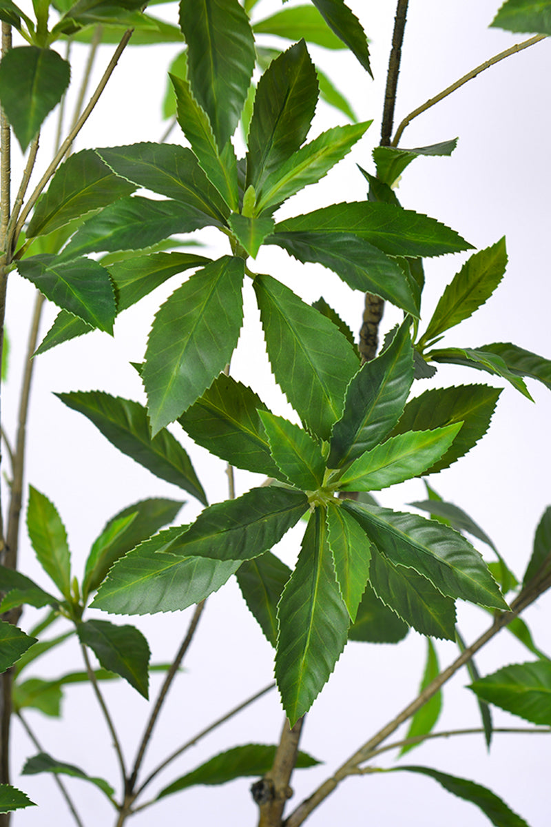 Artificial Pieris Tree with Realistic Branch Structure