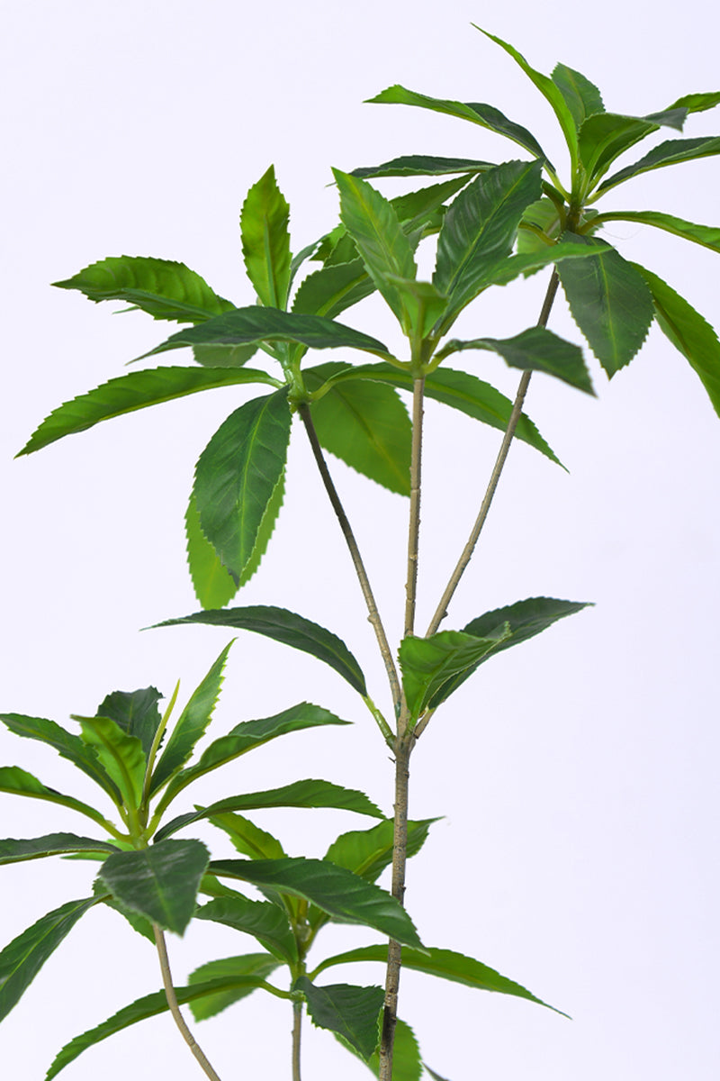 Artificial Pieris Tree with Realistic Branch Structure