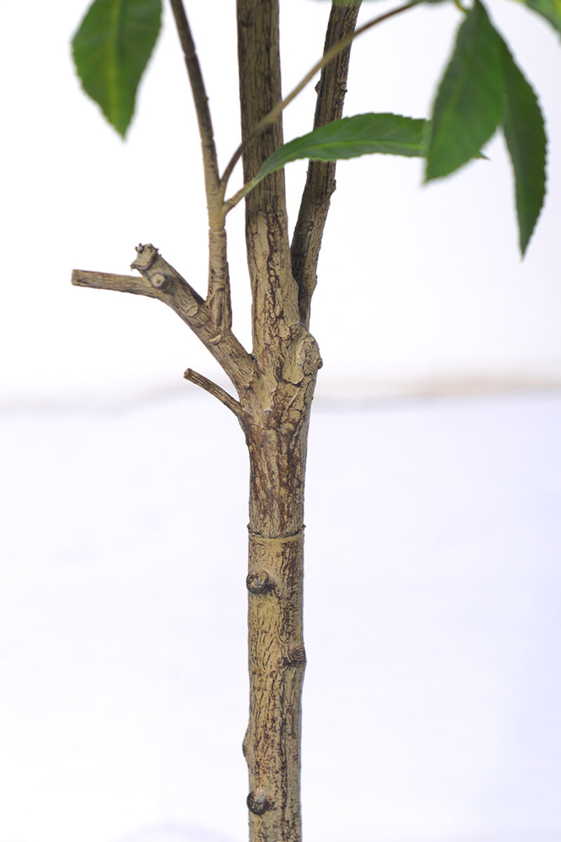 Artificial Pieris Tree with Realistic Branch Structure