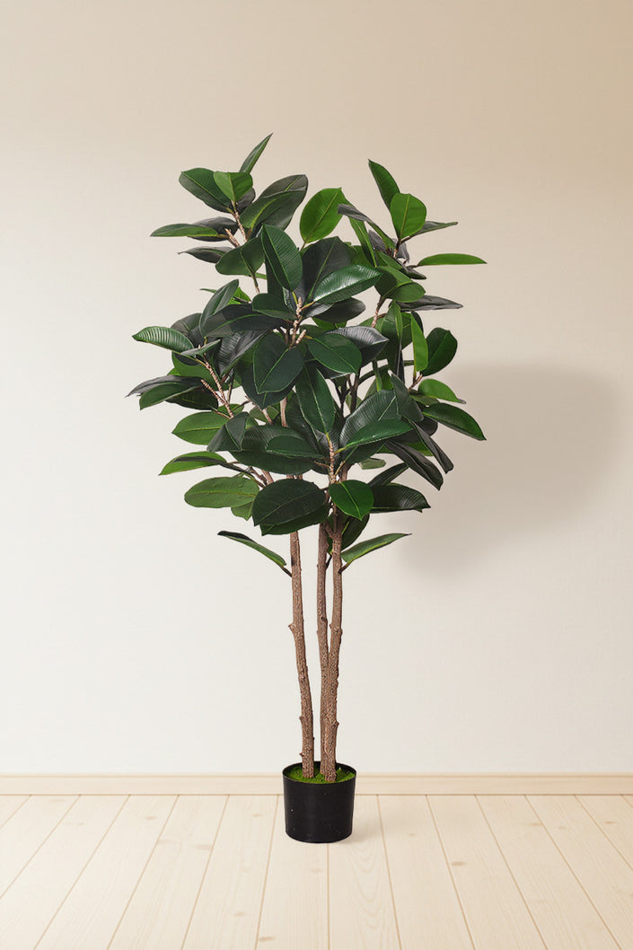Rubber J: Artificial Rubber Tree with Variegated Leaves and Triple Trunks