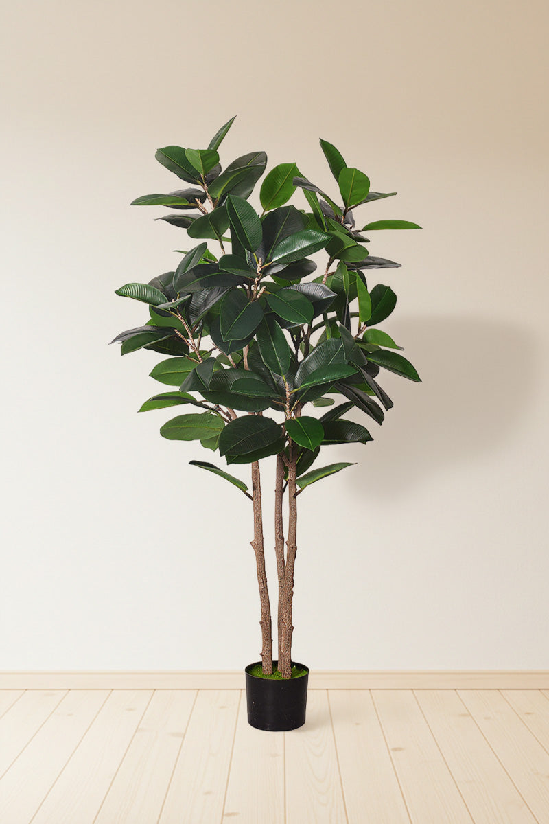 Rubber J: Artificial Rubber Tree with Variegated Leaves and Triple Trunks