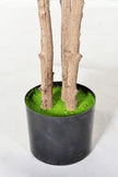 Rubber J: Artificial Rubber Tree with Variegated Leaves and Triple Trunks