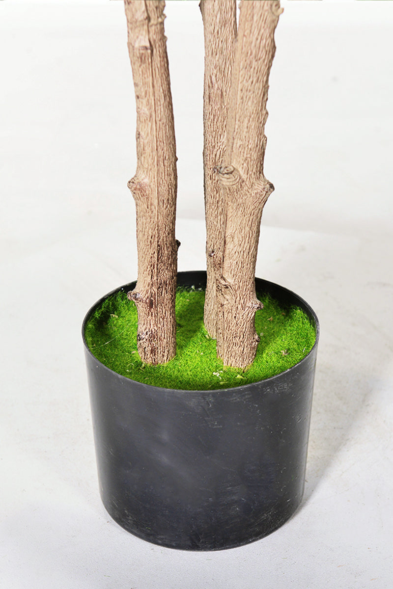Rubber J: Artificial Rubber Tree with Variegated Leaves and Triple Trunks