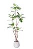 Rubber K: Artificial Rubber Tree with Lush Variegated Foliage