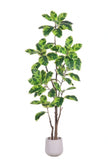 Rubber K: Artificial Rubber Tree with Lush Variegated Foliage