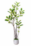 Rubber K: Artificial Rubber Tree with Lush Variegated Foliage