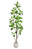 Rubber K: Artificial Rubber Tree with Lush Variegated Foliage