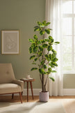 Rubber K: Artificial Rubber Tree with Lush Variegated Foliage