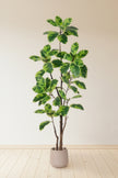 Rubber K: Artificial Rubber Tree with Lush Variegated Foliage