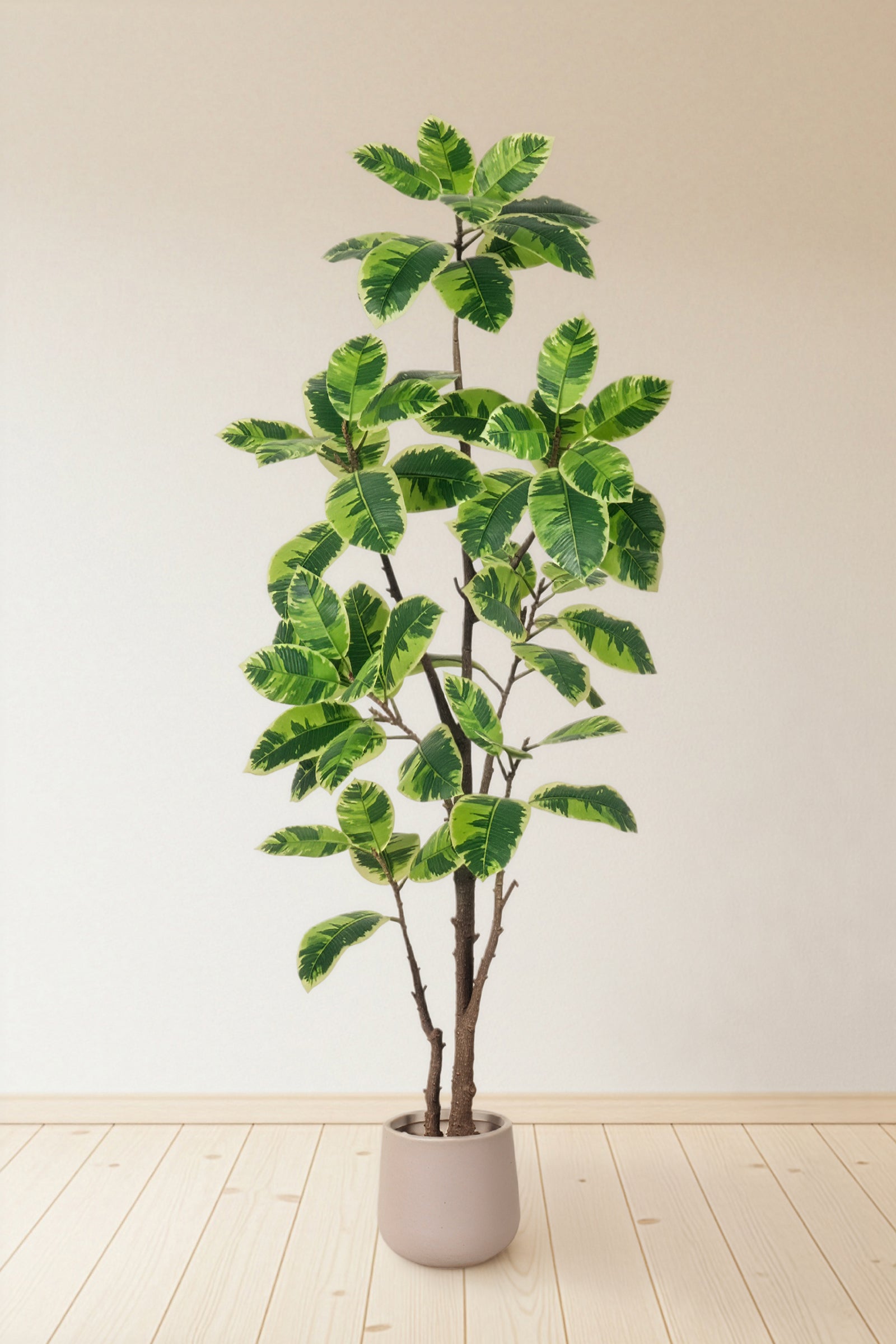 Rubber K: Artificial Rubber Tree with Lush Variegated Foliage