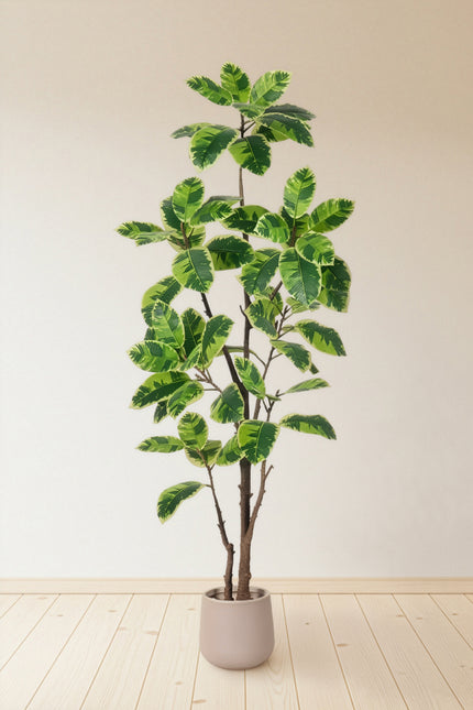 Rubber K: Artificial Rubber Tree with Lush Variegated Foliage