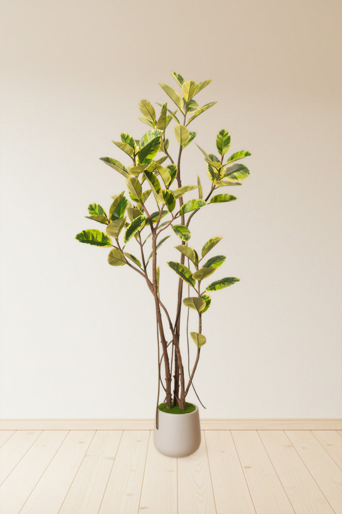 Rubber K: Tall Artificial Rubber Tree with Lush Variegated Foliage