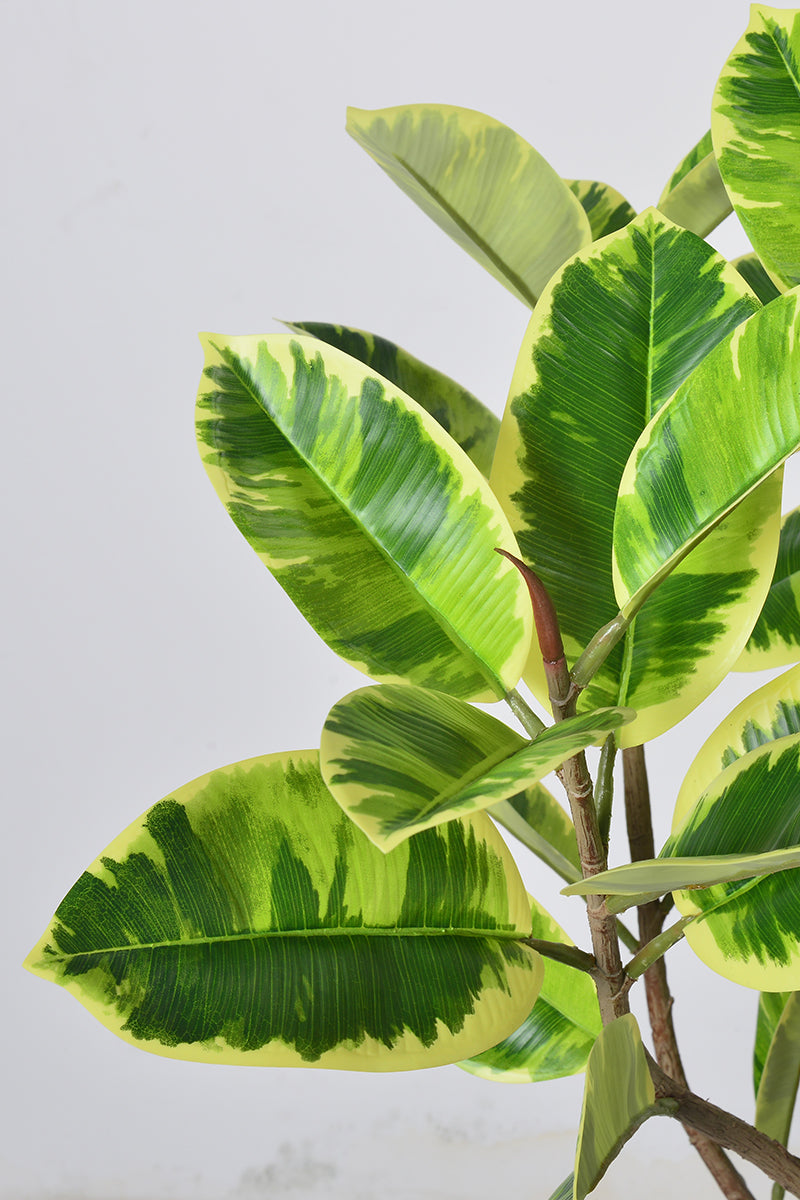 Rubber K: Tall Artificial Rubber Tree with Lush Variegated Foliage