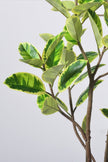 Rubber K: Artificial Rubber Tree with Lush Variegated Foliage