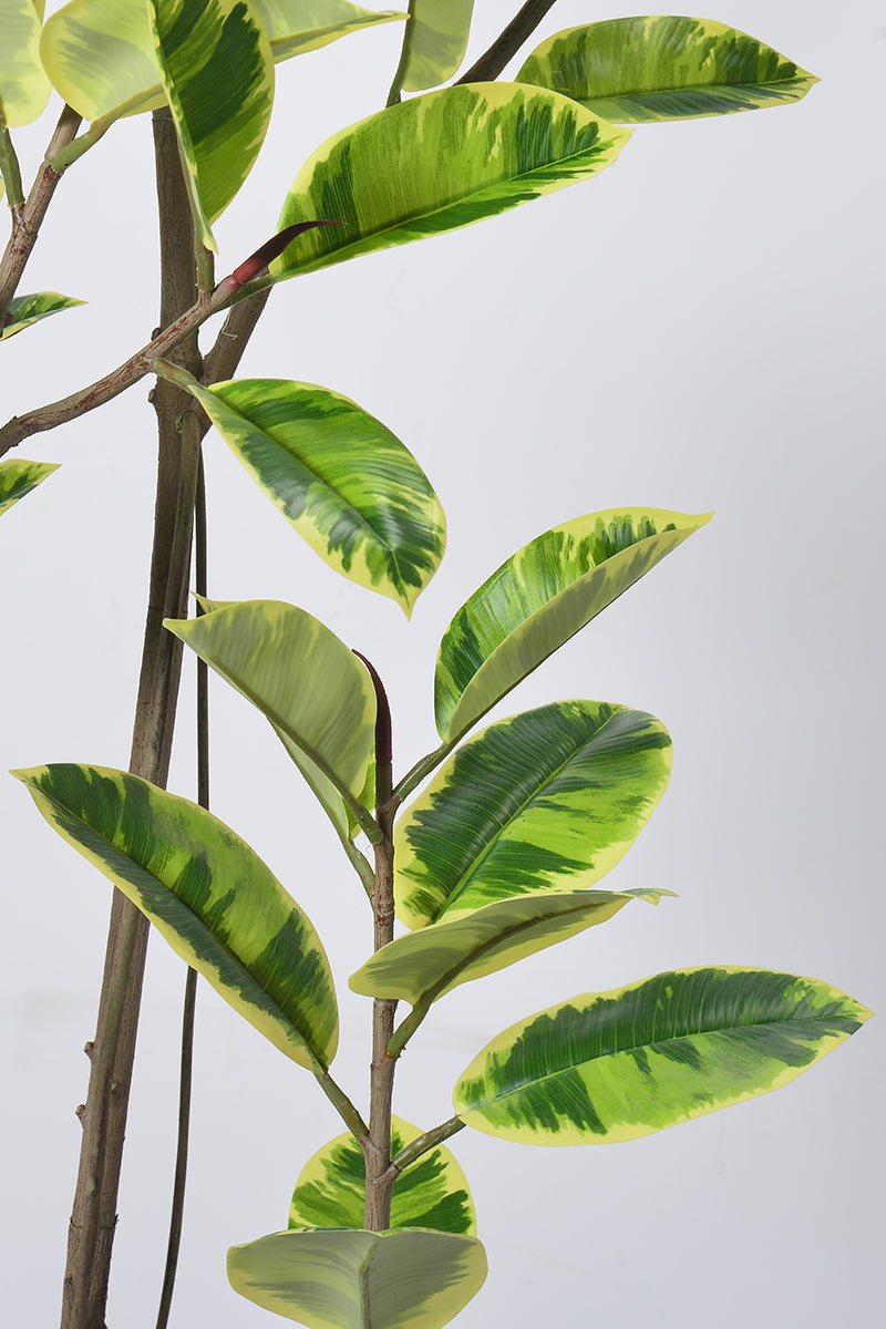 Rubber K: Tall Artificial Rubber Tree with Lush Variegated Foliage
