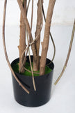 Rubber K: Artificial Rubber Tree with Lush Variegated Foliage