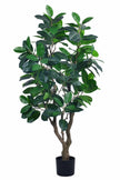Rubber M: Large Artificial Rubber Tree (Ficus Altissima) with Thick Trunks