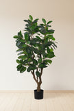 Rubber M: Large Artificial Rubber Tree (Ficus Altissima) with Thick Trunks