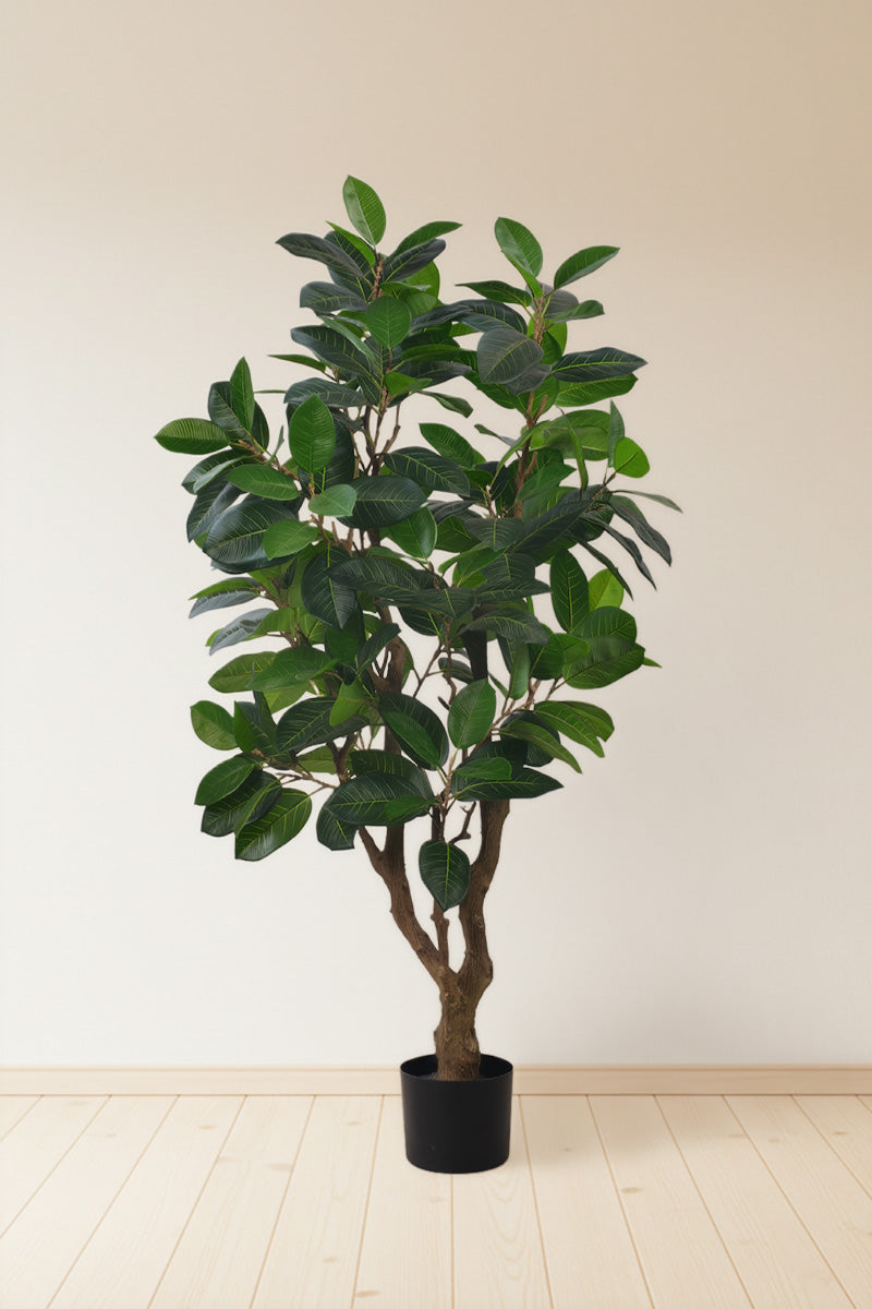 Rubber M: Large Artificial Rubber Tree (Ficus Altissima) with Thick Trunks