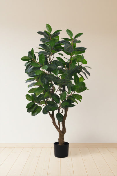 Rubber M: Large Artificial Rubber Tree (Ficus Altissima) with Thick Trunks