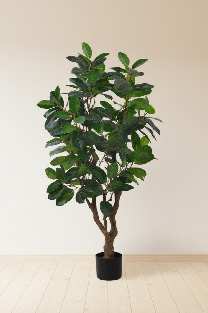 Rubber M: Large Artificial Rubber Tree (Ficus Altissima) with Thick Trunks