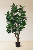 Rubber M: Large Artificial Rubber Tree (Ficus Altissima) with Thick Trunks
