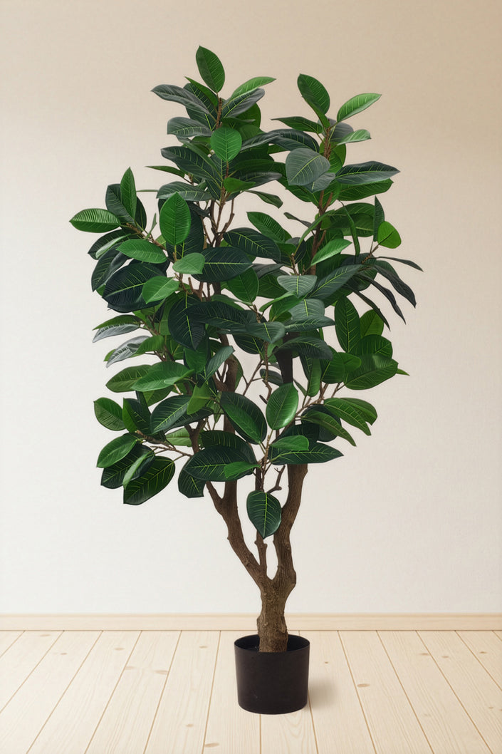 Rubber M: Large Artificial Rubber Tree (Ficus Altissima) with Thick Trunks