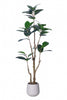 Rubber N: Artifiicial (Ficus Altissima) with Broad Leaves in a White Pot
