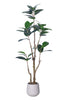 Rubber N: Artifiicial (Ficus Altissima) with Broad Leaves in a White Pot