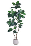 Rubber N: Artifiicial (Ficus Altissima) with Broad Leaves in a White Pot