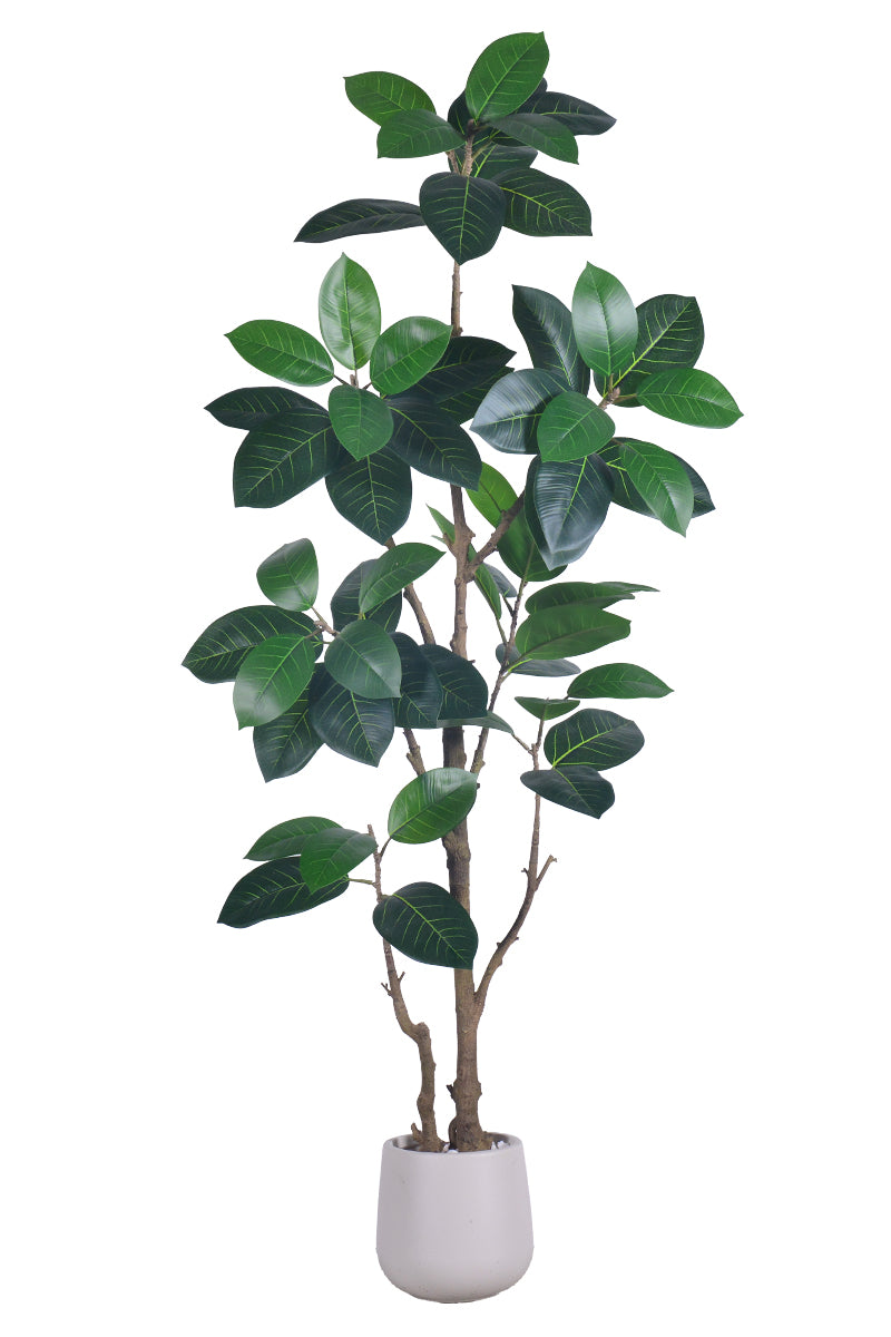 Rubber N: Artifiicial (Ficus Altissima) with Broad Leaves in a White Pot