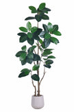 Rubber N: Artifiicial (Ficus Altissima) with Broad Leaves in a White Pot