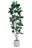 Rubber N: Artifiicial (Ficus Altissima) with Broad Leaves in a White Pot