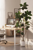 Rubber N: Artifiicial (Ficus Altissima) with Broad Leaves in a White Pot