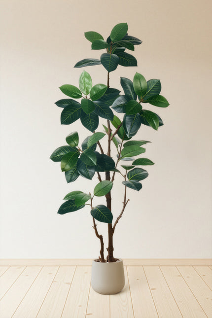 Rubber N: Artifiicial (Ficus Altissima) with Broad Leaves in a White Pot