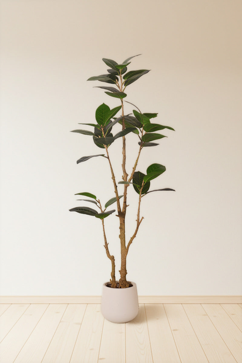 Rubber N: Artifiicial (Ficus Altissima) with Broad Leaves in a White Pot