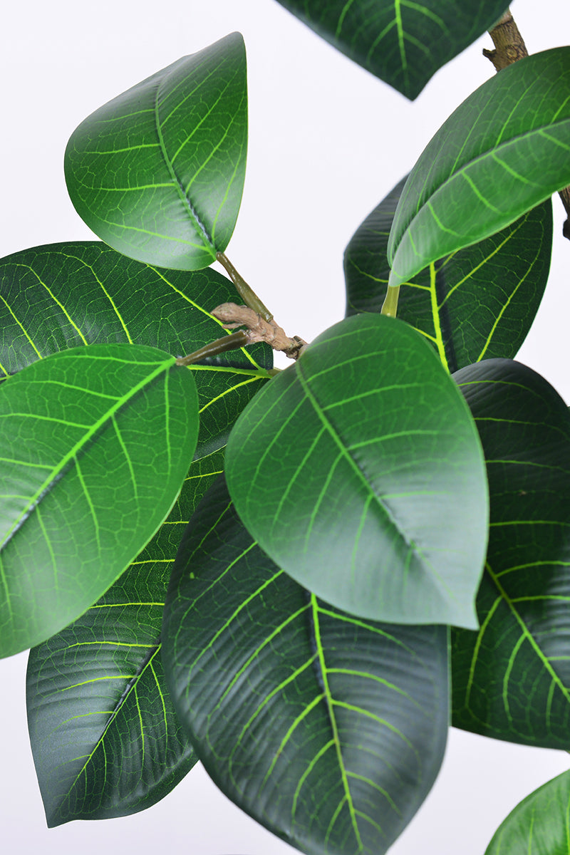 Rubber N: Artifiicial (Ficus Altissima) with Broad Leaves in a White Pot