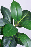 Rubber N: Artifiicial (Ficus Altissima) with Broad Leaves in a White Pot