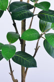 Rubber N: Artifiicial (Ficus Altissima) with Broad Leaves in a White Pot