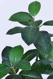 Rubber N: Artifiicial (Ficus Altissima) with Broad Leaves in a White Pot