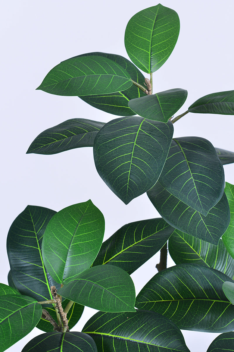 Rubber N: Artifiicial (Ficus Altissima) with Broad Leaves in a White Pot