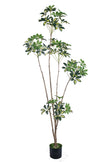 Schefflera A: Artificial “Dwarf Umbrella” Tree