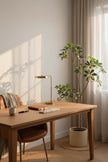 Schefflera A: Artificial “Dwarf Umbrella” Tree
