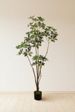 Schefflera A: Artificial “Dwarf Umbrella” Tree