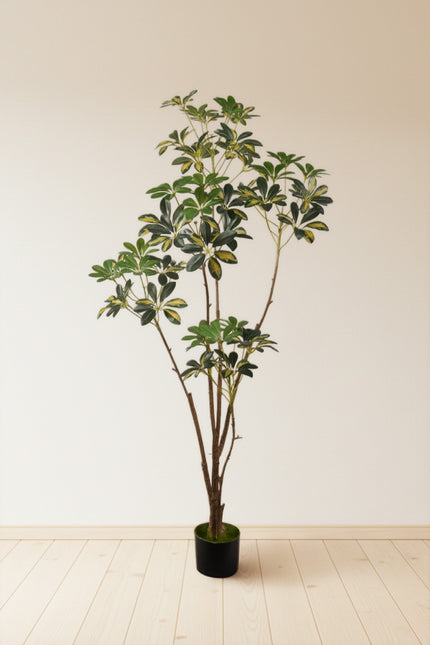 Schefflera A: Artificial “Dwarf Umbrella” Tree