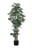 Schefflera F: Artificial Schefflera Octophylla Tree with Dark Lush Foliage
