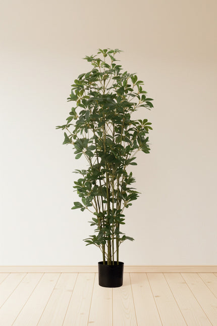 Schefflera F: Artificial Schefflera Octophylla Tree with Dark Lush Foliage